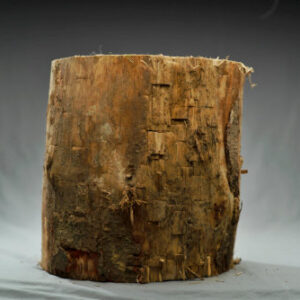 CHOPPING BLOCK
